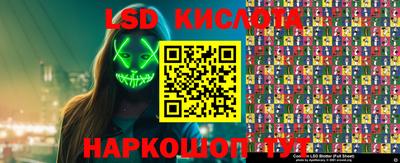 мяу мяу мука Аргун