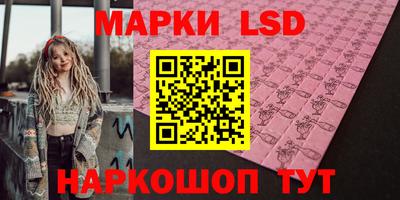 стаф Ноябрьск