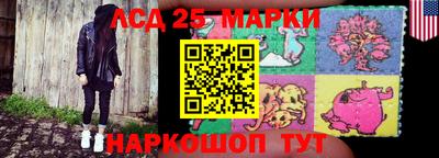 мяу мяу мука Аргун