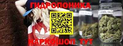 мяу мяу мука Аргун