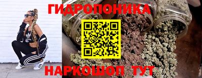 мяу мяу мука Аргун