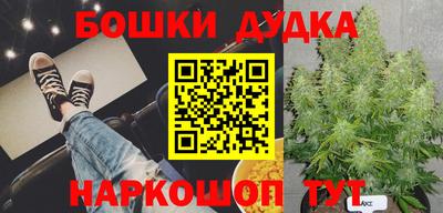 jwh Новоалександровск