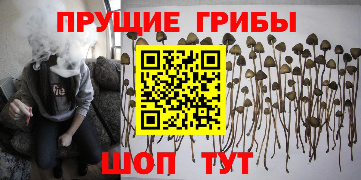Галлюциногенные грибы прущие грибы Балаково