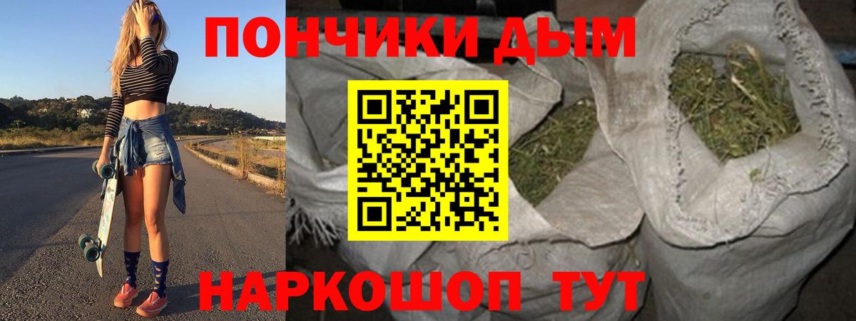 Бошки марихуана планчик  Вход с VPN  Конопля гибрид  Конопля планчик  Балаково 
